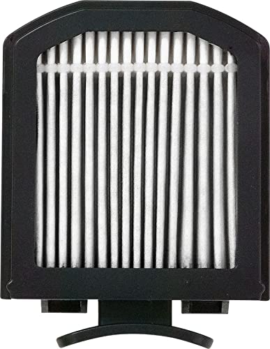 Amazon.co.jp: レイコップ RT-300用 マイクロフィルターSP-RT002（2個